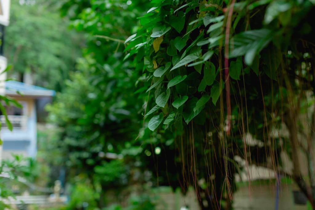 Rk Guesthouse Patong Dış mekan fotoğraf