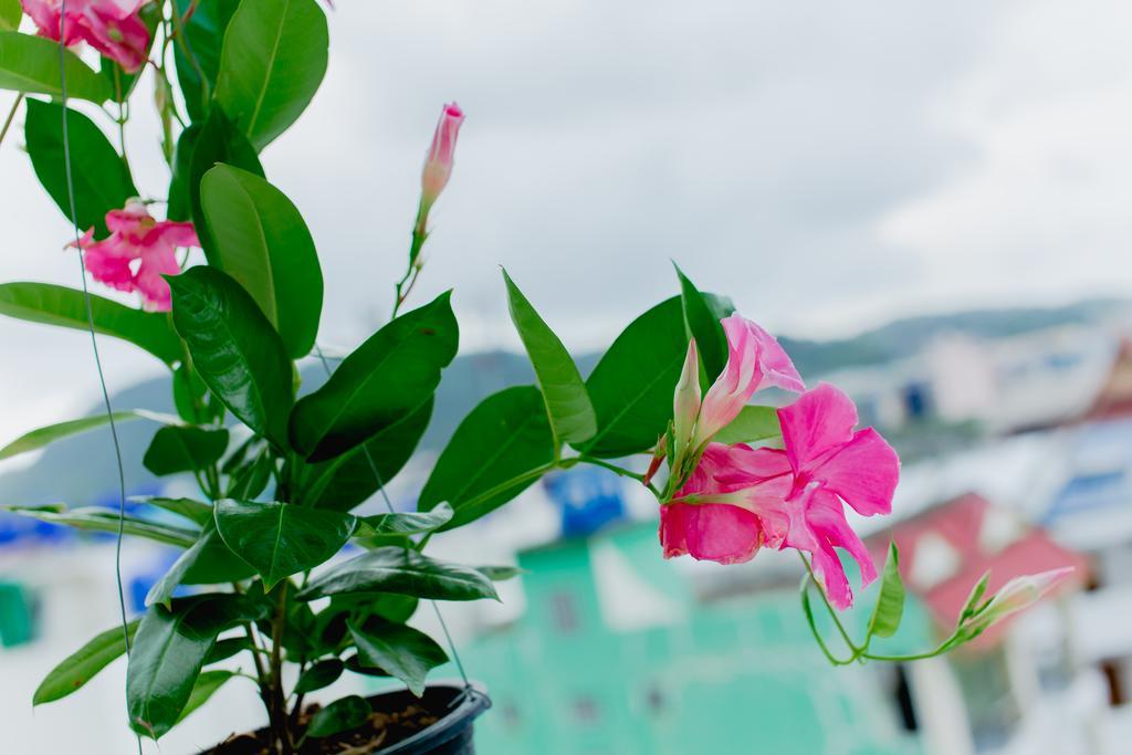 Rk Guesthouse Patong Dış mekan fotoğraf